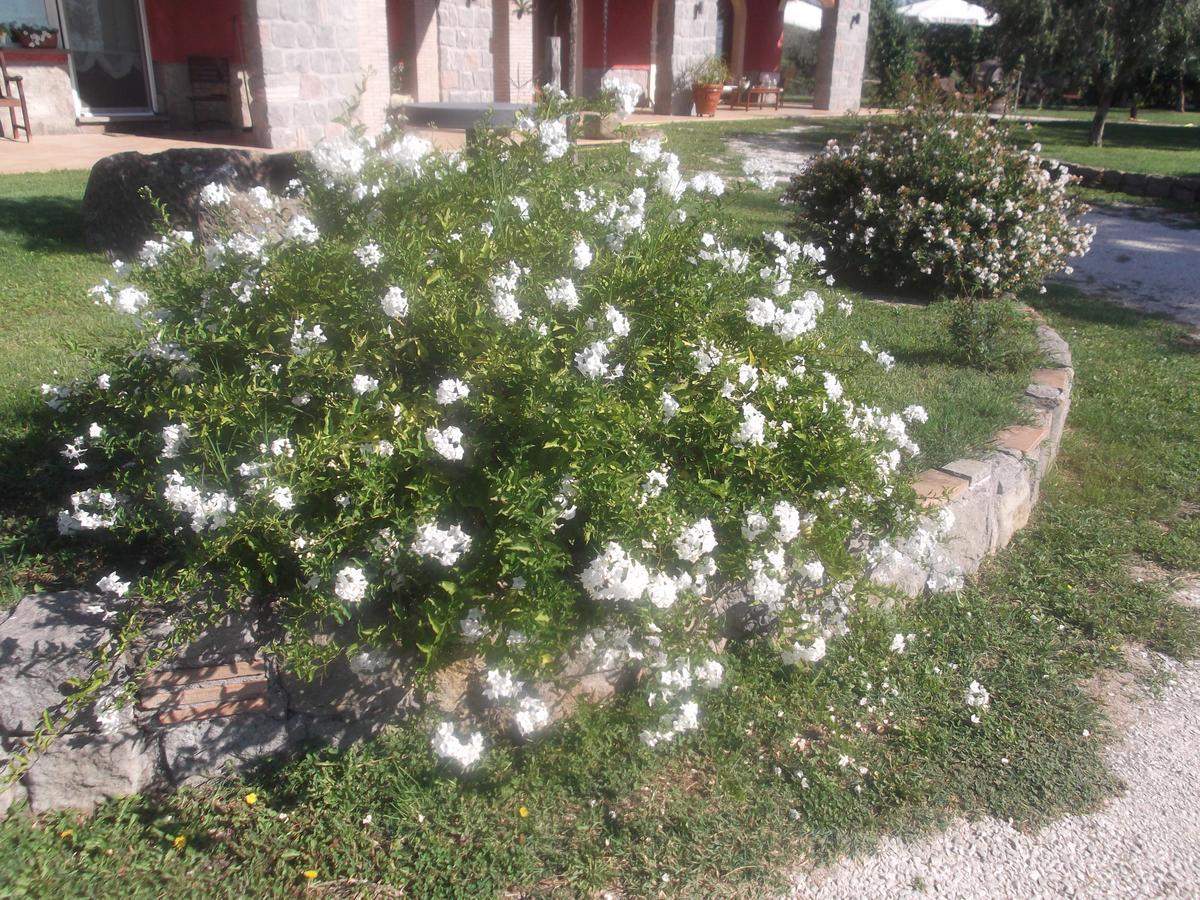 Agriturismo Casal Grande Canepina Exterior photo